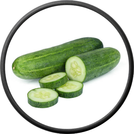 Fresh Cucumber